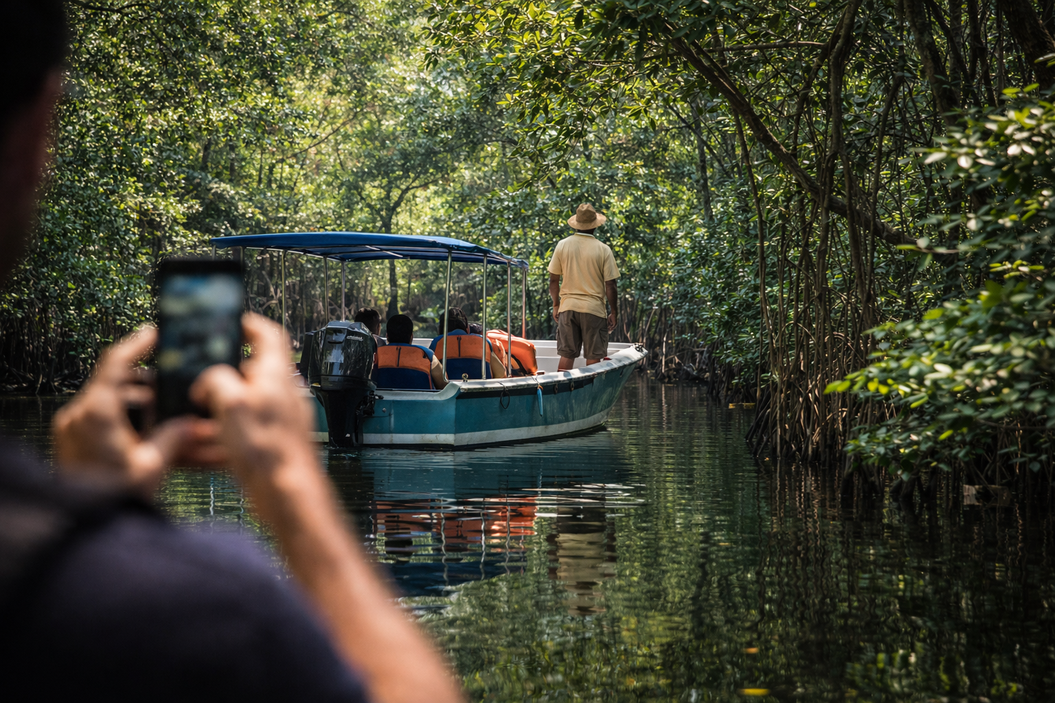 Black River mangroves, a boat with tourists mid-frame, one taking a photo on a phone