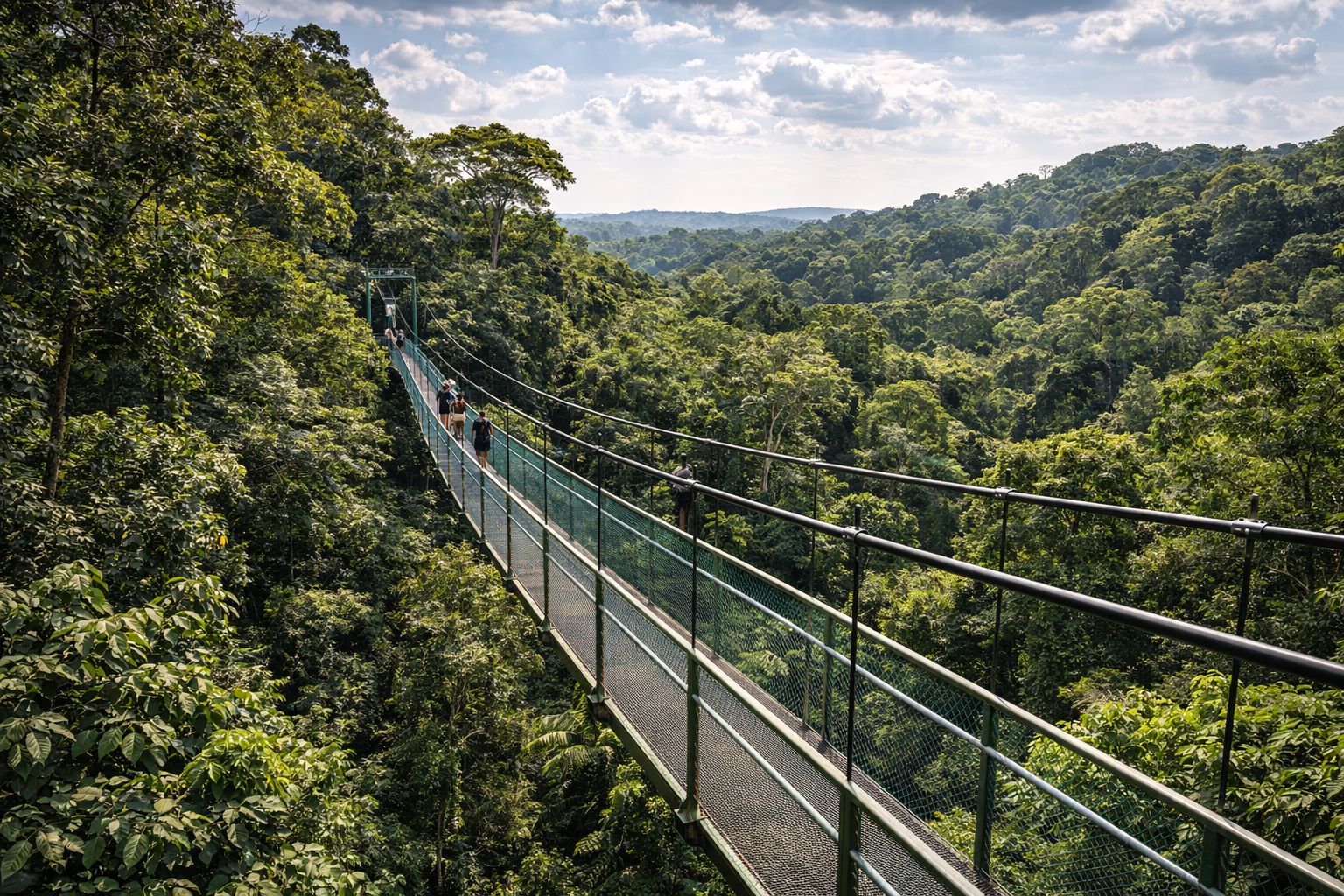 The TreeTop Walk suspension bridge in the tropical forest.