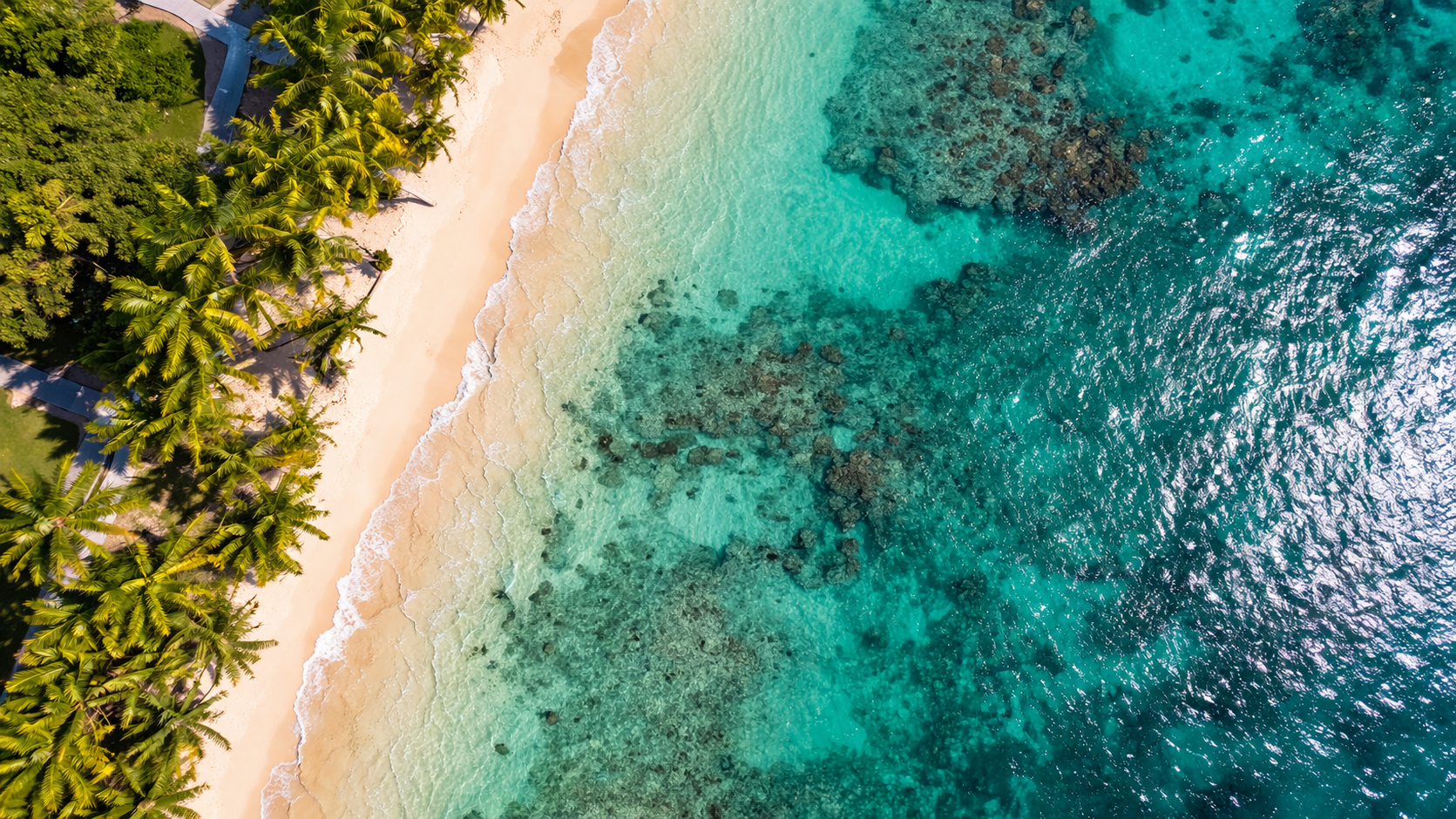 Ipao Beach with palm trees and clear water