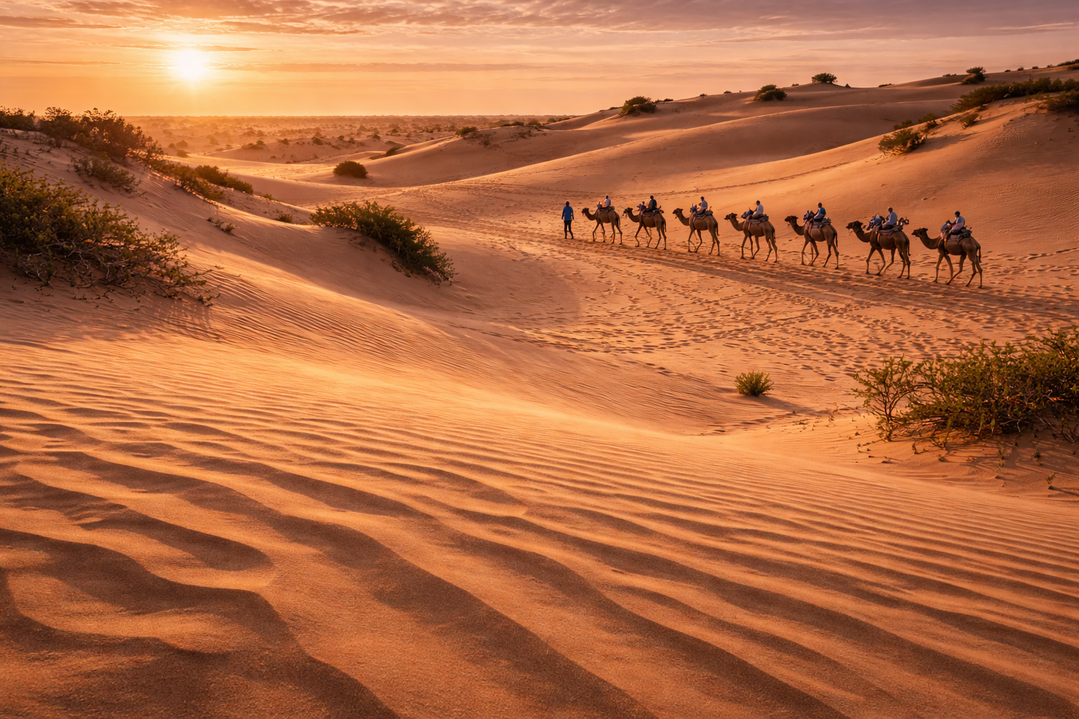 Golden sand dunes of the Lompoul Desert.