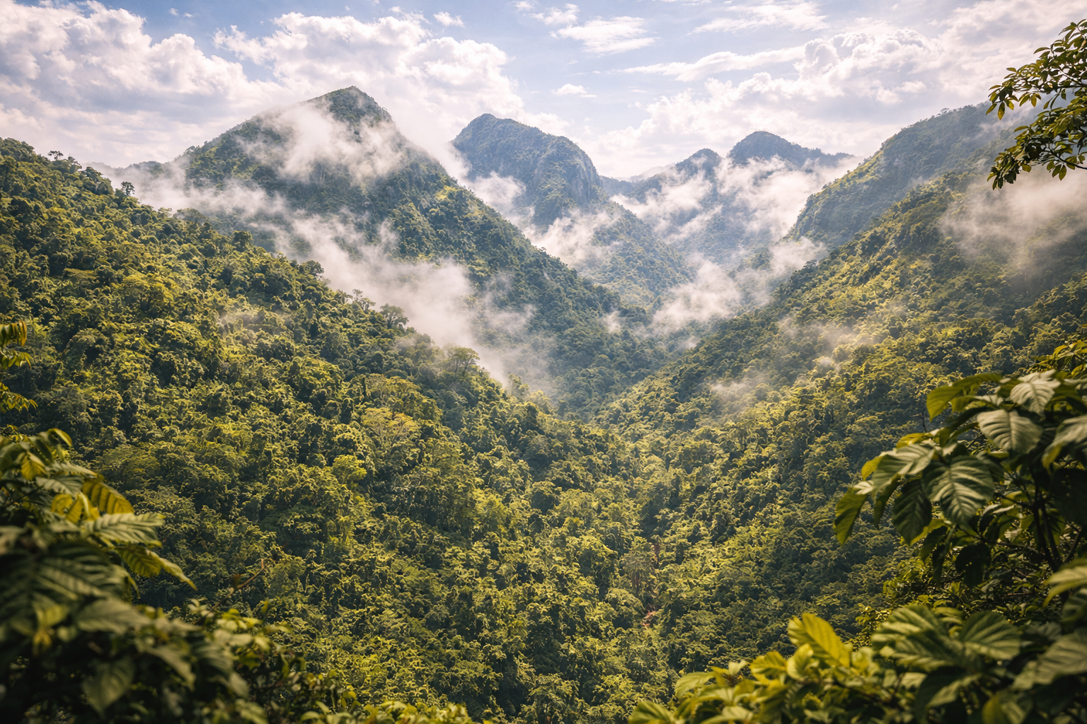 Monti Nimba in Guinea: riserva naturale UNESCO